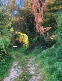 terreno agricolo in vendita a Carobbio degli Angeli