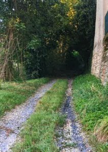 terreno agricolo in vendita a Carobbio degli Angeli