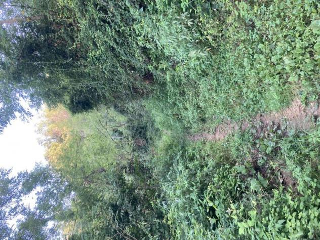 terreno agricolo in vendita a Carobbio degli Angeli