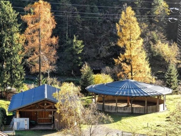 negozio in vendita a Carona