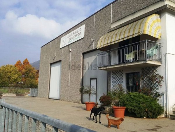 ufficio in vendita a Carvico