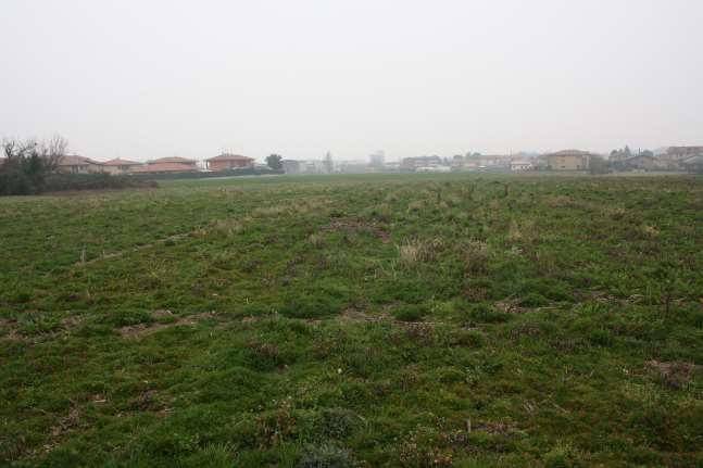 terreno agricolo in vendita a Carvico