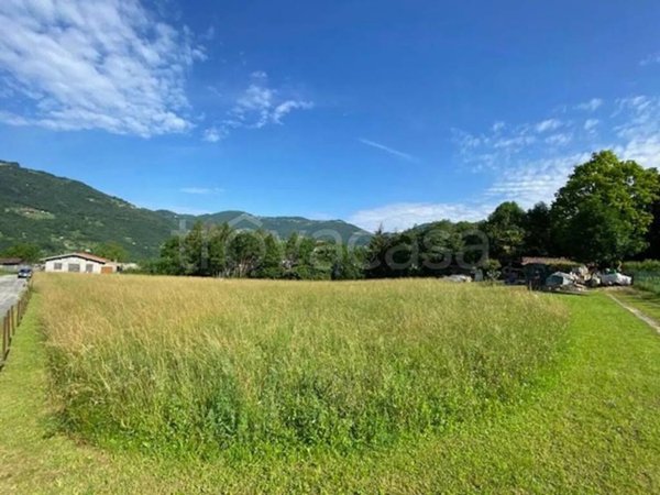 terreno agricolo in vendita a Casazza in zona Colognola