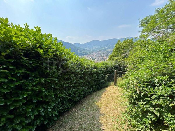 terreno agricolo in vendita a Casazza in zona Colognola