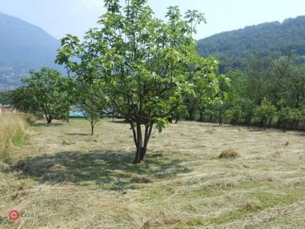 terreno edificabile in vendita a Casazza in zona Mologno