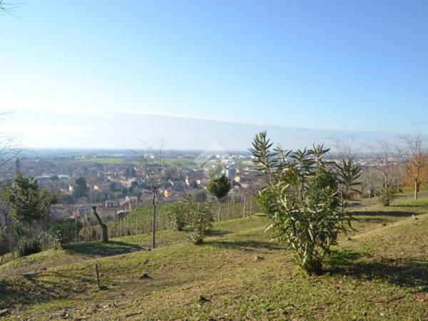 terreno agricolo in vendita a Castelli Calepio in zona Tagliuno
