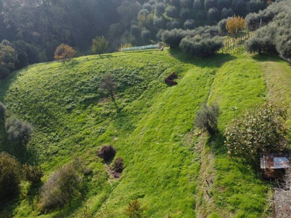 terreno agricolo in vendita a Castelli Calepio