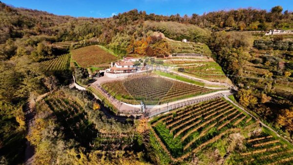 azienda agricola in vendita a Castelli Calepio in zona Calepio