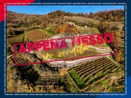 appartamento in vendita a Castelli Calepio in zona Calepio