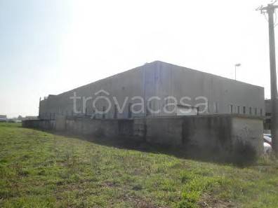 terreno edificabile in vendita a Castelli Calepio