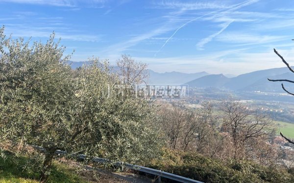 terreno agricolo in vendita a Castelli Calepio