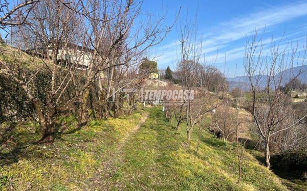 terreno agricolo in vendita a Castelli Calepio in zona Calepio