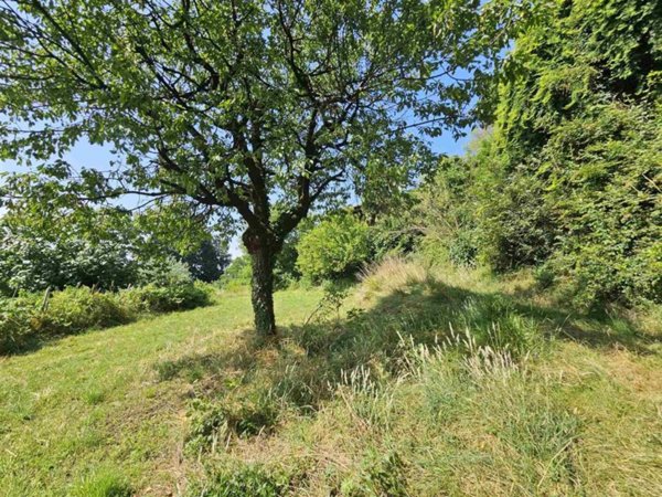terreno agricolo in vendita a Castelli Calepio