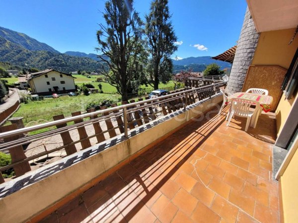 immagine annuncio 0 di 15