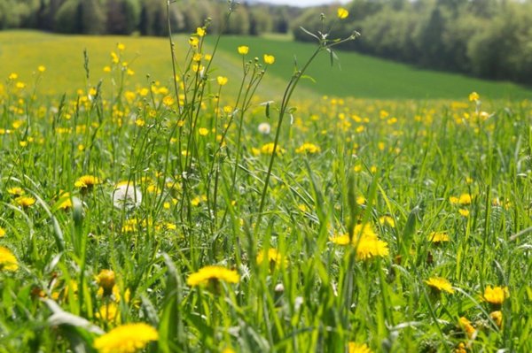 ufficio in vendita a Castione della Presolana