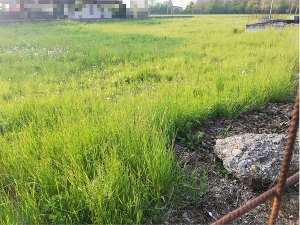 casa indipendente in vendita a Cavernago