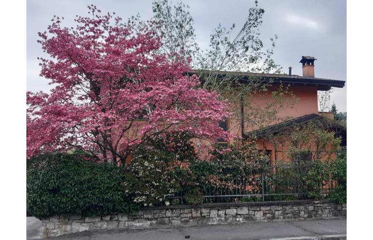 casa indipendente in vendita a Cenate Sopra