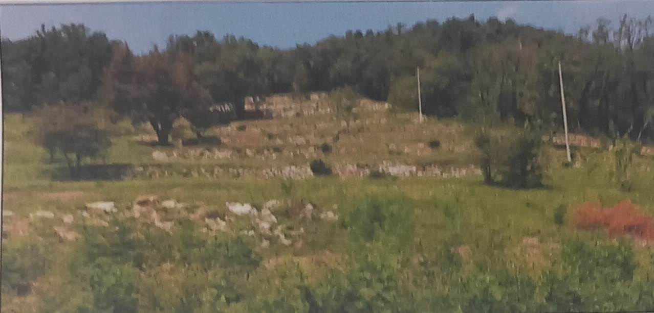 terreno edificabile in vendita a Cenate Sopra in zona Valpredina