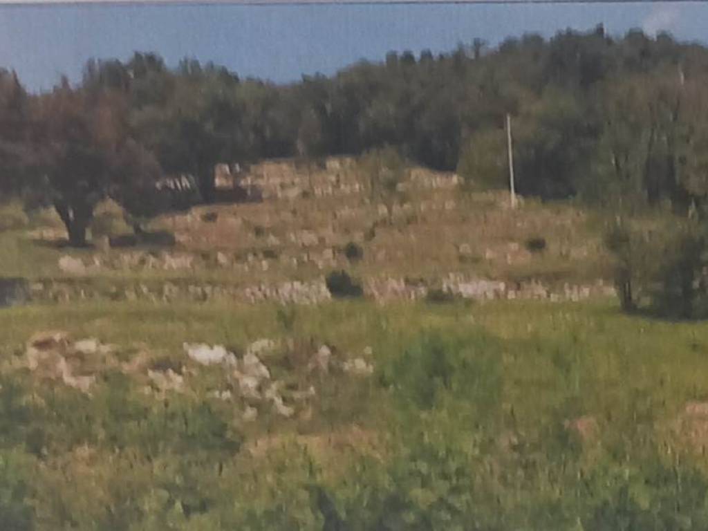 terreno edificabile in vendita a Cenate Sopra in zona Valpredina