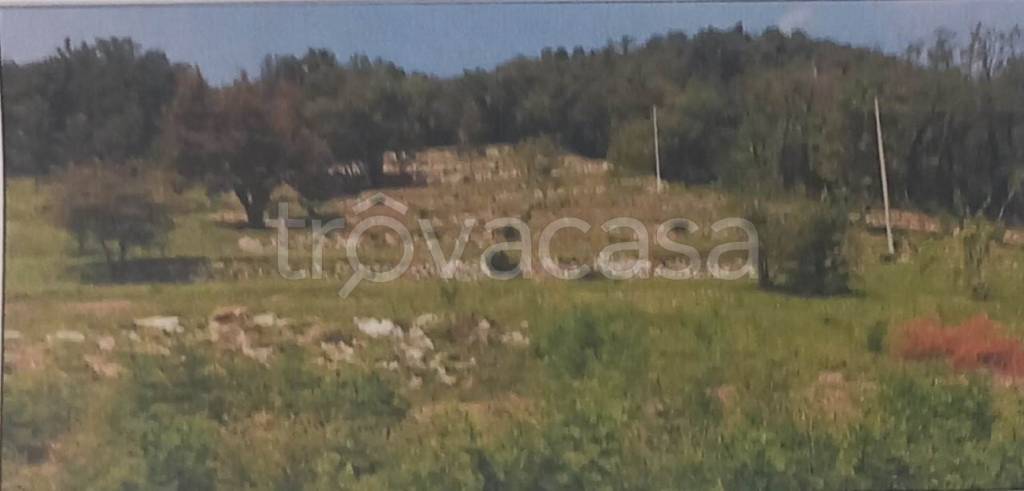 terreno edificabile in vendita a Cenate Sopra in zona Valpredina