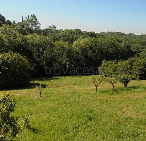 terreno agricolo in vendita a Cenate Sopra in zona Valpredina