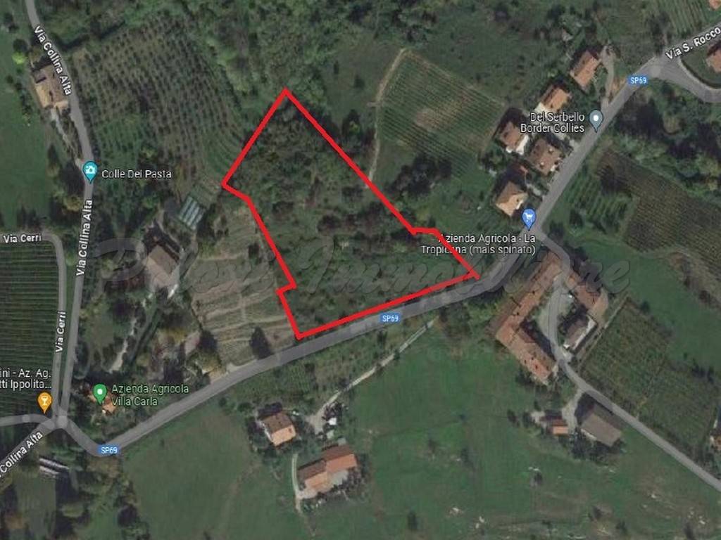 terreno agricolo in vendita a Cenate Sotto in zona San Rocco