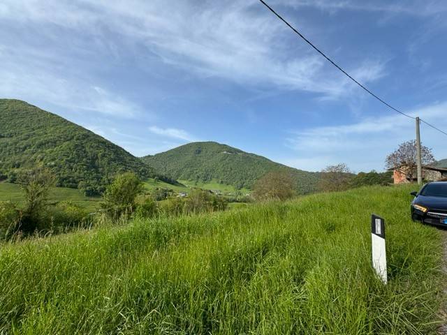 terreno agricolo in vendita a Cene