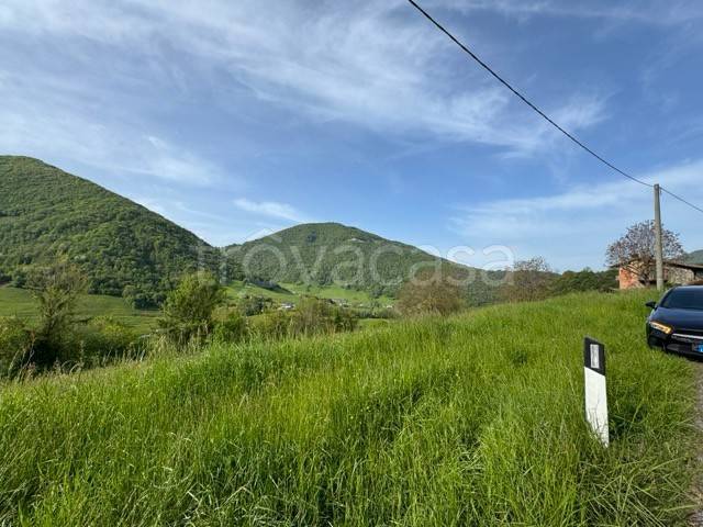 terreno agricolo in vendita a Cene