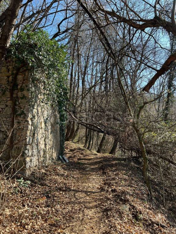 rudere in vendita a Cene