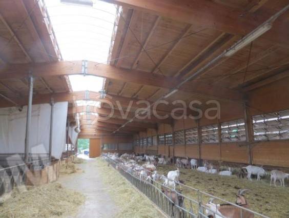 ufficio in vendita a Cene