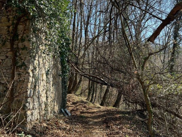 casa indipendente in vendita a Cene