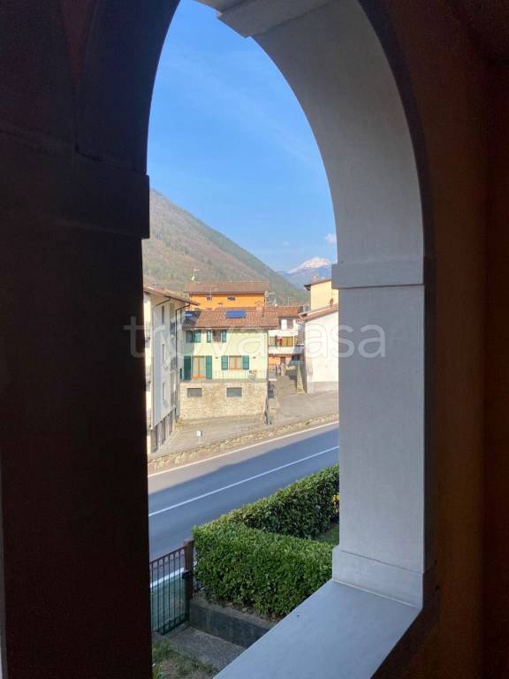 immagine annuncio 0 di 15