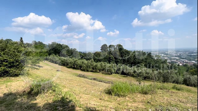 terreno agricolo in vendita a Chiuduno
