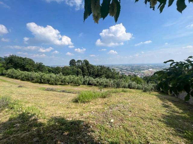 terreno agricolo in vendita a Chiuduno