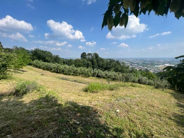 terreno agricolo in vendita a Chiuduno