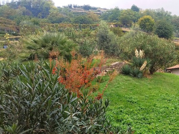 appartamento in vendita a Chiuduno