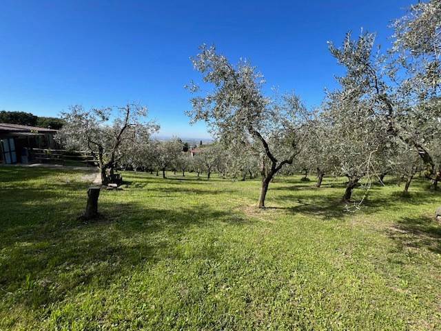 casa indipendente in vendita a Chiuduno