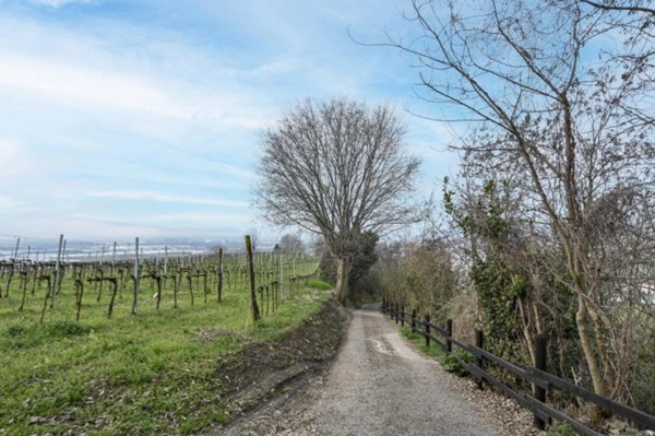 terreno agricolo in vendita a Chiuduno