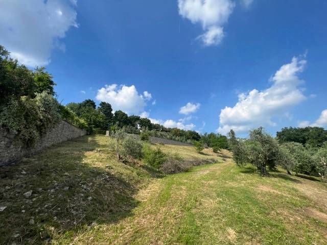 terreno agricolo in vendita a Chiuduno