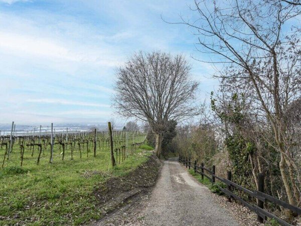 terreno agricolo in vendita a Chiuduno