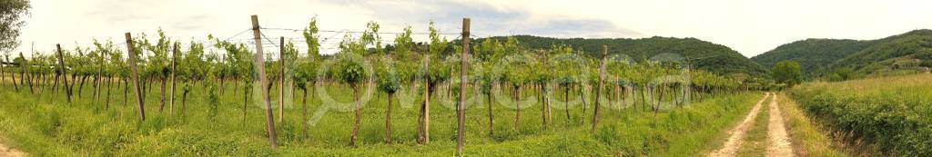 terreno agricolo in vendita a Chiuduno