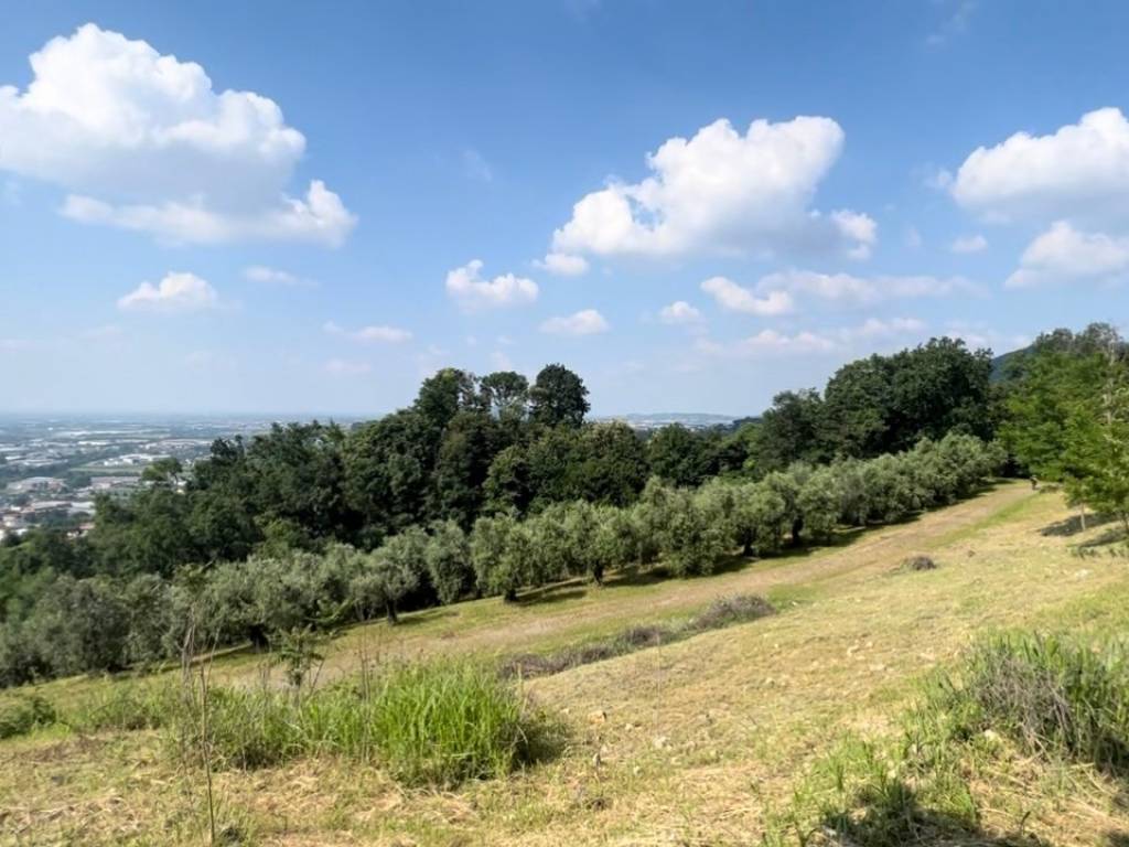 terreno in vendita a Chiuduno in zona Valle del Fico