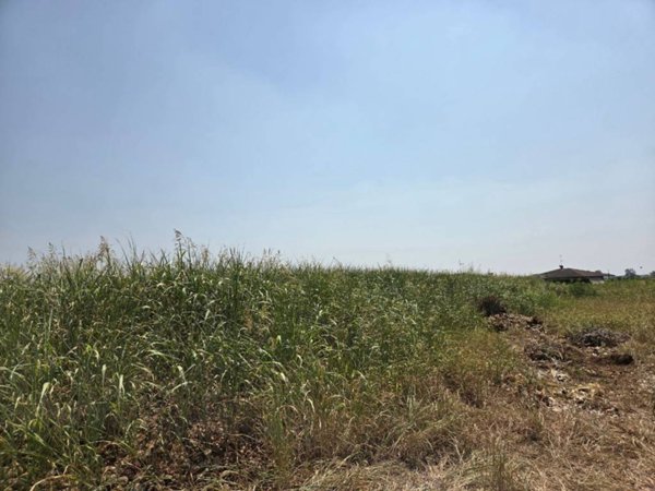 terreno in vendita a Cividate al Piano