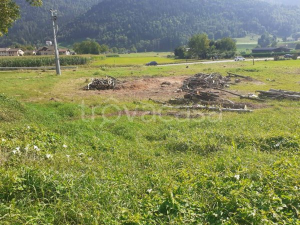 terreno agricolo in vendita a Clusone