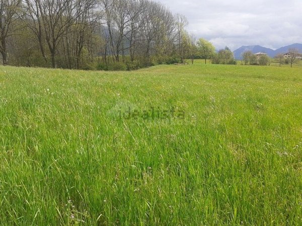 terreno agricolo in vendita a Clusone
