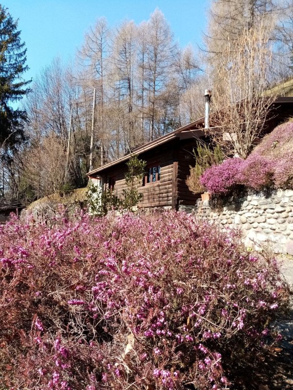 quadrivano in vendita a Clusone