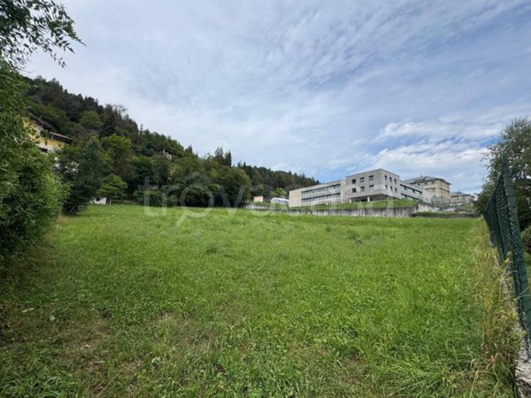 terreno agricolo in vendita a Clusone in zona Fiorine