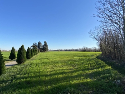 terreno agricolo in vendita a Cologno al Serio
