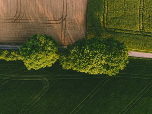 terreno agricolo in vendita a Cologno al Serio