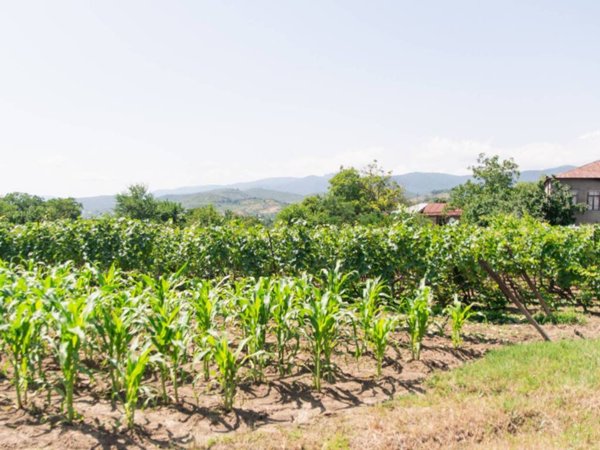 terreno agricolo in vendita a Cologno al Serio